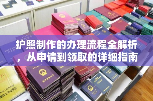 阿拉善盟护照制作的办理流程全解析，从申请到领取的详细指南