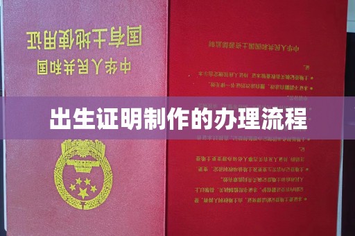 阿拉善盟出生证明制作的办理流程