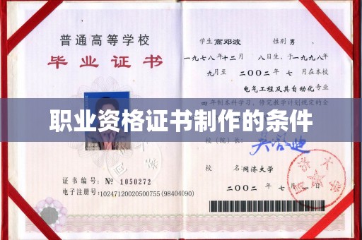 阿拉善盟职业资格证书制作的条件