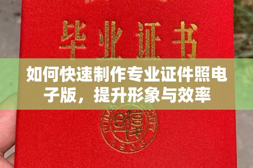 阿拉善盟如何快速制作专业证件照电子版，提升形象与效率