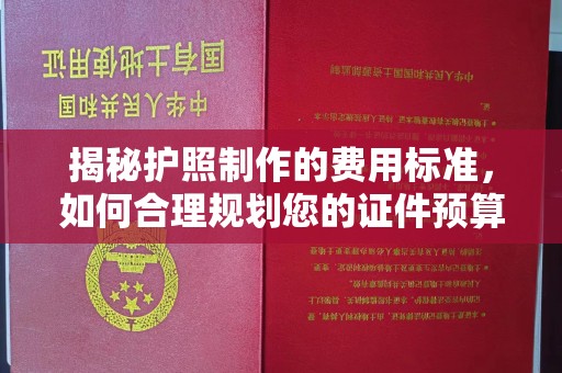 阿拉善盟揭秘护照制作的费用标准，如何合理规划您的证件预算？