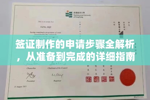 阿拉善盟签证制作的申请步骤全解析，从准备到完成的详细指南