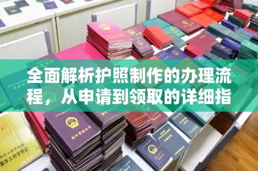 阿拉善盟全面解析护照制作的办理流程，从申请到领取的详细指南