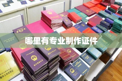 阿拉善盟哪里有专业制作证件