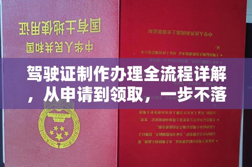 阿拉善盟驾驶证制作办理全流程详解，从申请到领取，一步不落