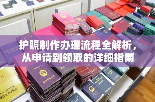 阿拉善盟护照制作办理流程全解析，从申请到领取的详细指南